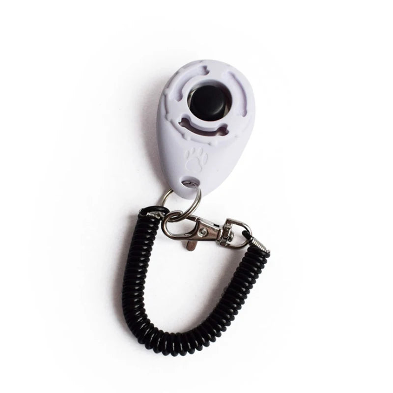 Sky blue dog clicker positive reinforcement training