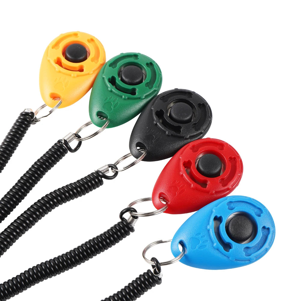 Dog learning sit command with clicker training