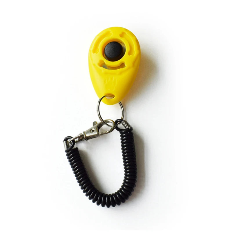 Dog obedience training with clicker — step by step