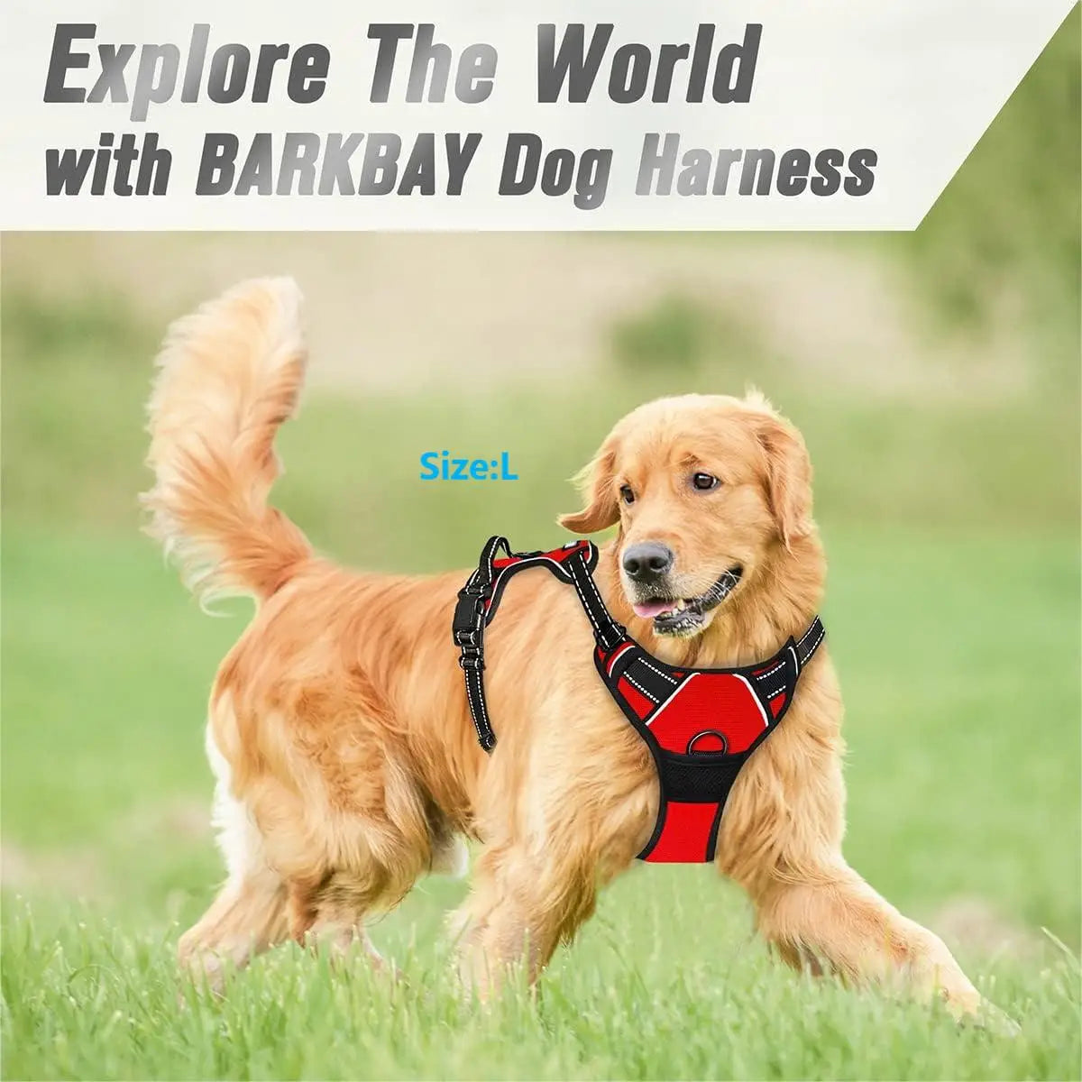 Dogora harness padded vest design no chafing neck pressure