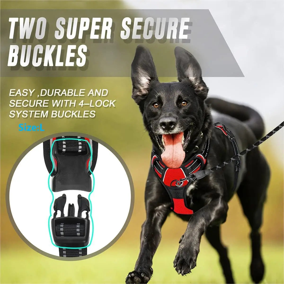 No-pull harness colors black blue red pink green purple orange