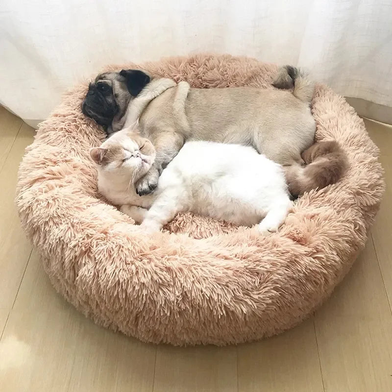 Dog curled up in Dogora round bed — warm cozy nest design