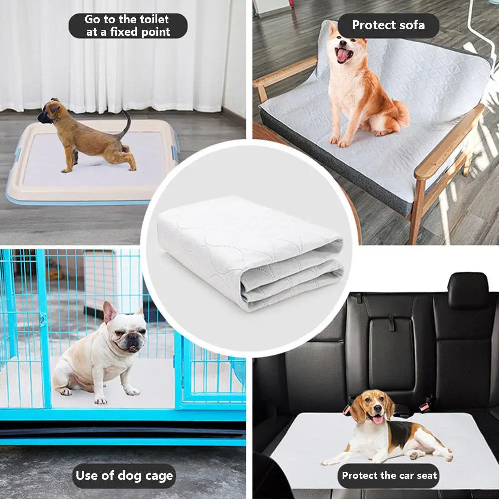 Puppy using washable training pad — Dogora potty training