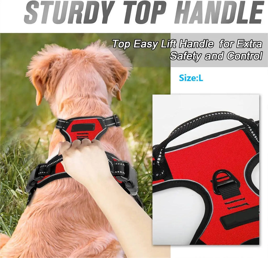 Reflective strips dog harness night walk safety — Dogora