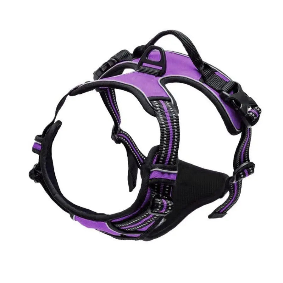 Puppy with Dogora no-pull harness first walk comfortable