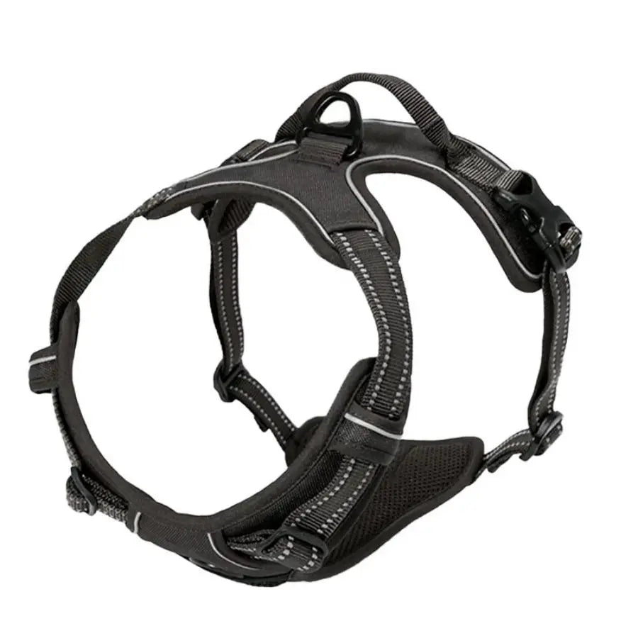 Large dog Golden Retriever wearing Dogora no-pull harness