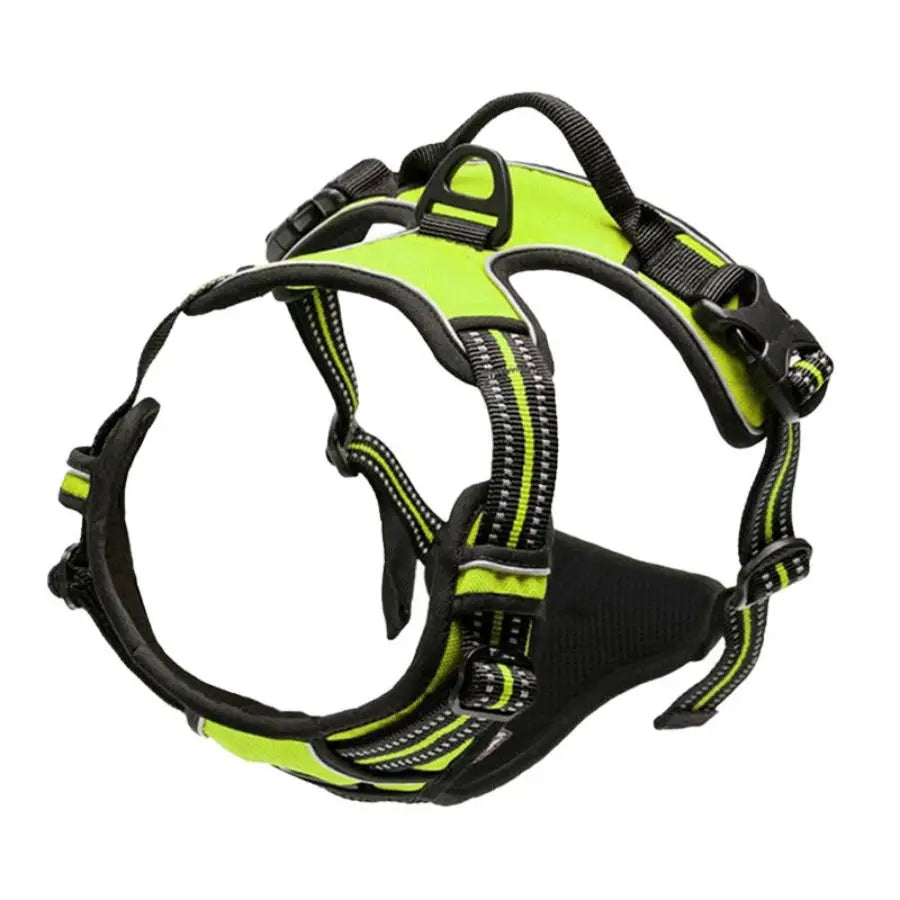 Front clip harness redirects pulling dog without pain