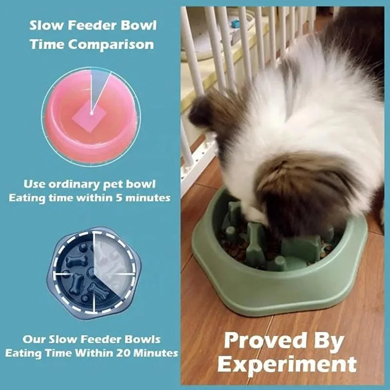 Slow feeder bowl non-slip base BPA-free food safe