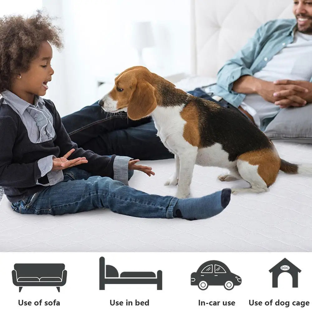 Dog training pad size guide S M L XL Dogora