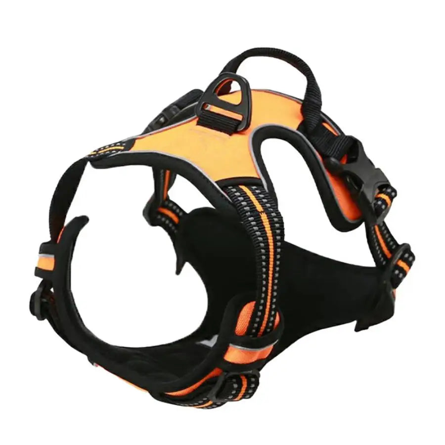 Dogora harness nylon reinforced stitching durable outdoor