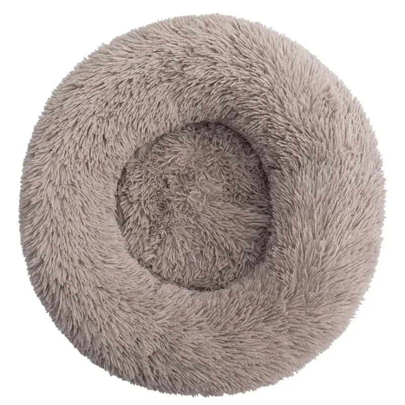 Small puppy in 40cm round plush bed — Dogora cozy nest