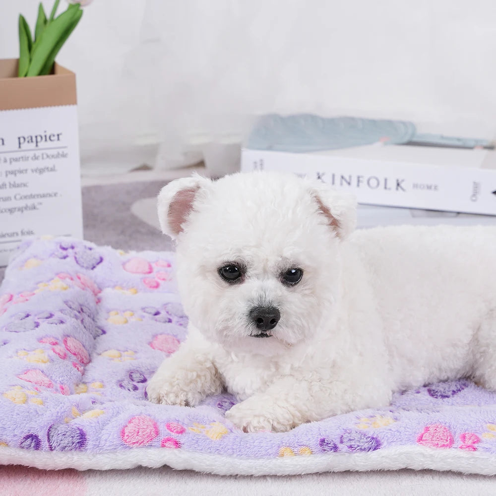 Soft flannel dog blanket close-up texture ultra soft