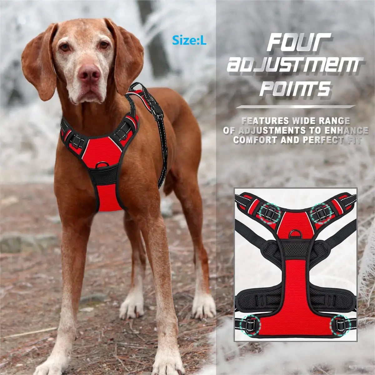 No-pull harness adjustable buckles all sizes Dogora