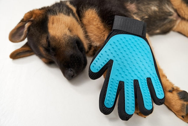 The Grooming Glove — Feels Like a Massage — Dogora